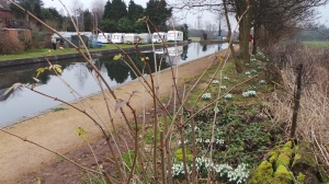 Photo of Borrowcop Locks on the Lichfield Canal